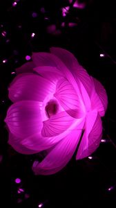 Preview wallpaper lotus, abstraction, light, flower