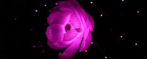 Preview wallpaper lotus, abstraction, light, flower