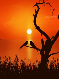 Preview wallpaper love, birds, sunset, art