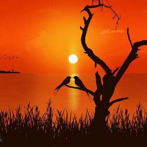 Preview wallpaper love, birds, sunset, art