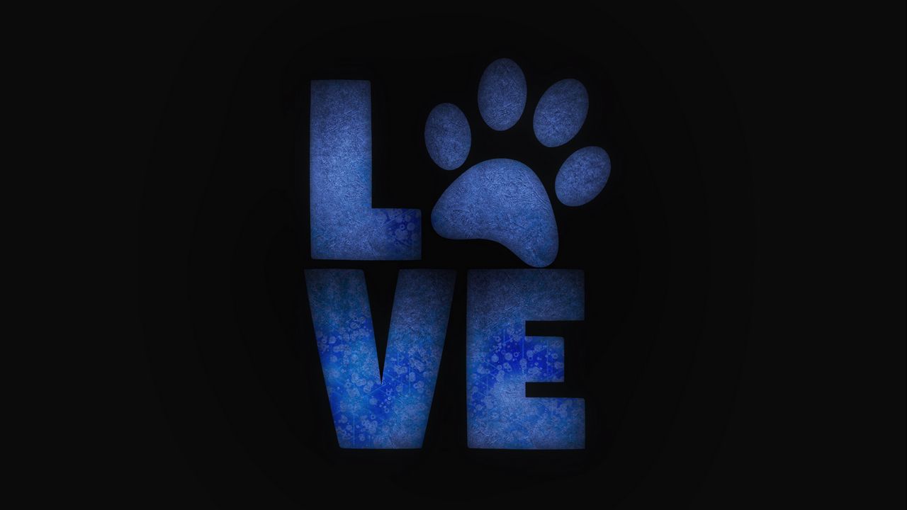 Wallpaper love, paw, animals, care