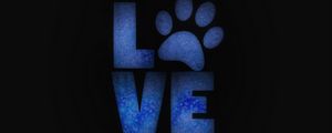 Preview wallpaper love, paw, animals, care