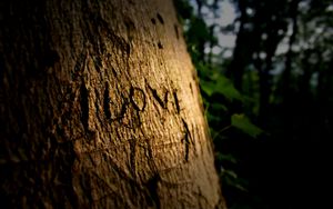 Preview wallpaper love, sign, wood, wooden