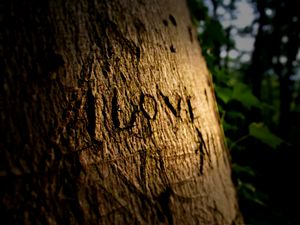 Preview wallpaper love, sign, wood, wooden