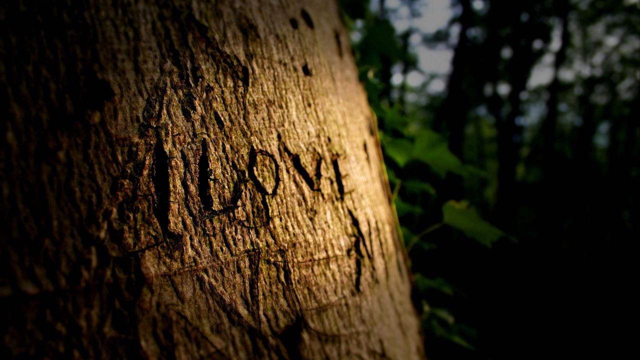 Wallpaper love, sign, wood, wooden hd, picture, image