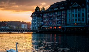 Preview wallpaper lucerne, switzerland, swan, building, evening