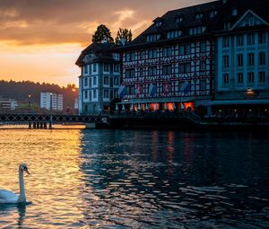 Preview wallpaper lucerne, switzerland, swan, building, evening