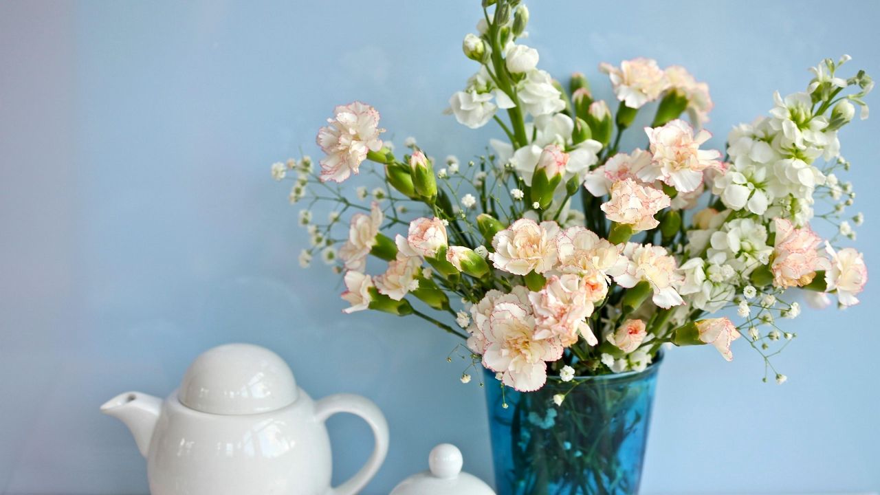 Wallpaper lucius, carnations, babys breath, bouquet, vase, porcelain