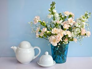 Preview wallpaper lucius, carnations, babys breath, bouquet, vase, porcelain