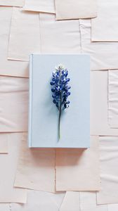 Preview wallpaper lupine, flower, book, paper