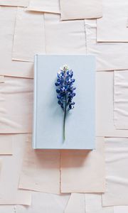 Preview wallpaper lupine, flower, book, paper