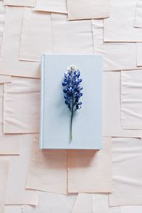 Preview wallpaper lupine, flower, book, paper