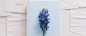 Preview wallpaper lupine, flower, book, paper