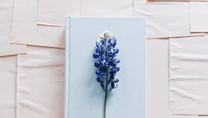 Preview wallpaper lupine, flower, book, paper