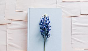 Preview wallpaper lupine, flower, book, paper