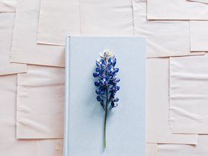 Preview wallpaper lupine, flower, book, paper