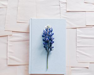 Preview wallpaper lupine, flower, book, paper