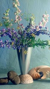 Preview wallpaper lupines, flower, vase, wall, shell