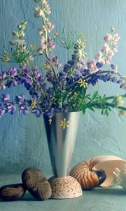 Preview wallpaper lupines, flower, vase, wall, shell