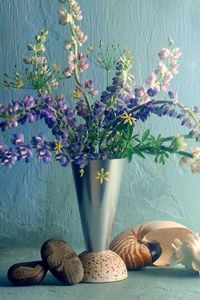 Preview wallpaper lupines, flower, vase, wall, shell