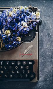 Preview wallpaper lupins, flowers, typewriter