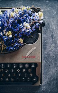 Preview wallpaper lupins, flowers, typewriter