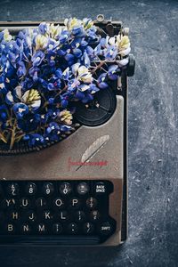 Preview wallpaper lupins, flowers, typewriter