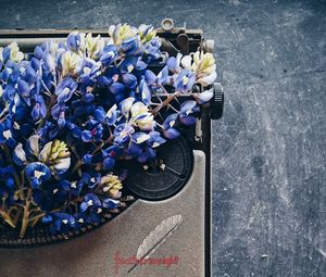 Preview wallpaper lupins, flowers, typewriter