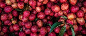Preview wallpaper lychees, fruits, berries