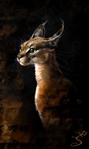 Preview wallpaper lynx, art, big cat, predator