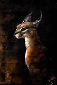 Preview wallpaper lynx, art, big cat, predator