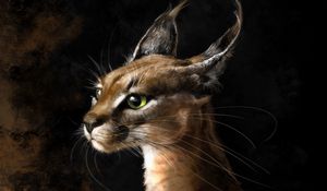 Preview wallpaper lynx, art, big cat, predator