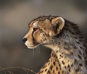 Preview wallpaper lynx, predator, art, big cat, wildlife