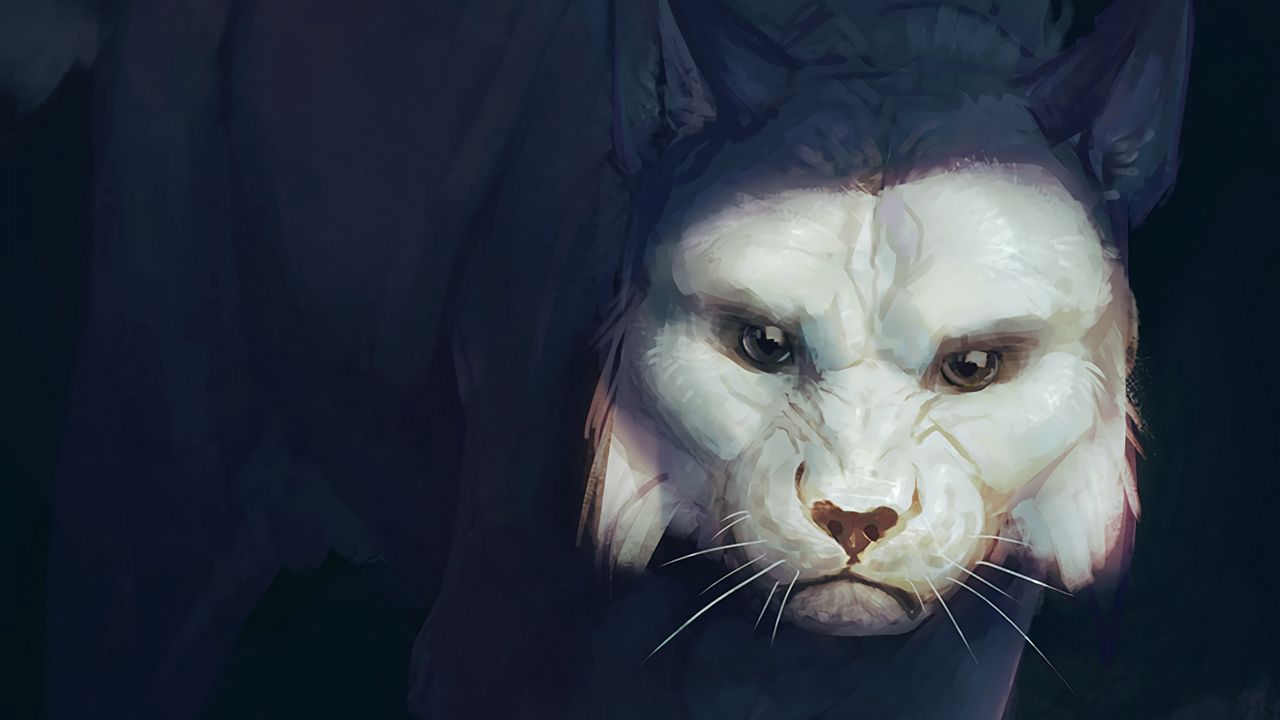 Wallpaper lynx, white, predator, big cat, art