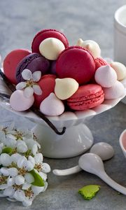 Preview wallpaper macaron, cookies, baked goods, flowers