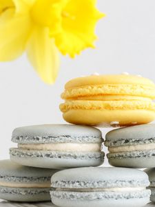 Preview wallpaper macarons, cake, dessert, pastries, flower