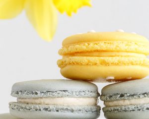 Preview wallpaper macarons, cake, dessert, pastries, flower