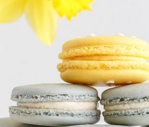 Preview wallpaper macarons, cake, dessert, pastries, flower