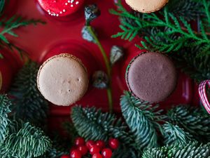 Preview wallpaper macarons, cookies, colorful, dessert, branches