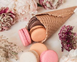 Preview wallpaper macarons, cookies, cone, dessert, flowers