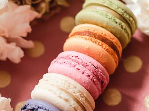 Preview wallpaper macarons, cookies, dessert, flowers, petals, colorful