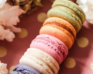 Preview wallpaper macarons, cookies, dessert, flowers, petals, colorful