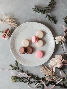 Preview wallpaper macarons, cookies, dessert, plate, flowers