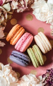 Preview wallpaper macarons, cookies, dessert, flowers, colorful