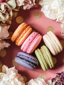 Preview wallpaper macarons, cookies, dessert, flowers, colorful