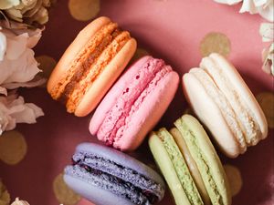 Preview wallpaper macarons, cookies, dessert, flowers, colorful