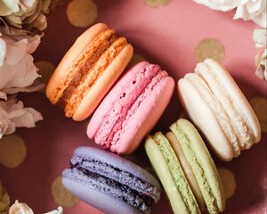 Preview wallpaper macarons, cookies, dessert, flowers, colorful