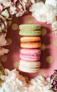 Preview wallpaper macarons, cookies, dessert, pastries, flowers, colorful