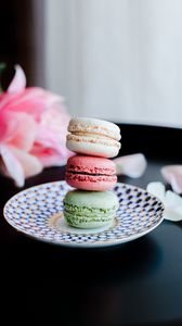 Preview wallpaper macarons, cookies, dessert, plate, colorful