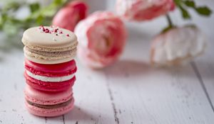 Preview wallpaper macarons, cookies, pink, dessert